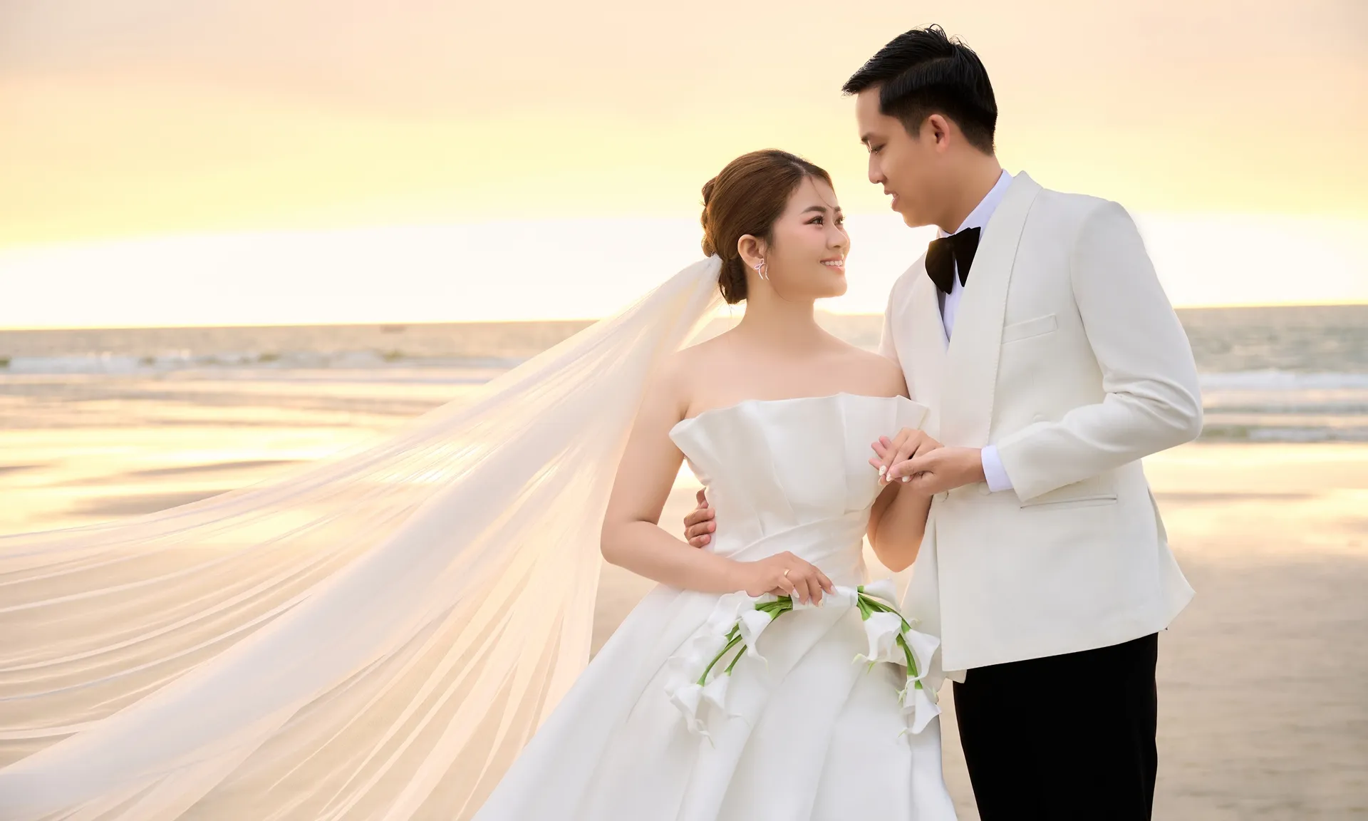 Bộ sưu tập chính