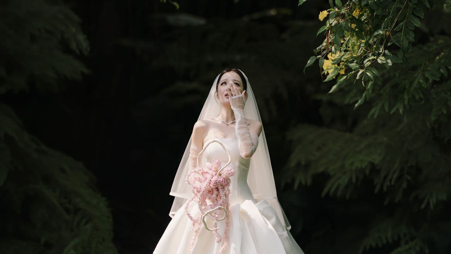 Ảnh đại diện của Kien's Collection